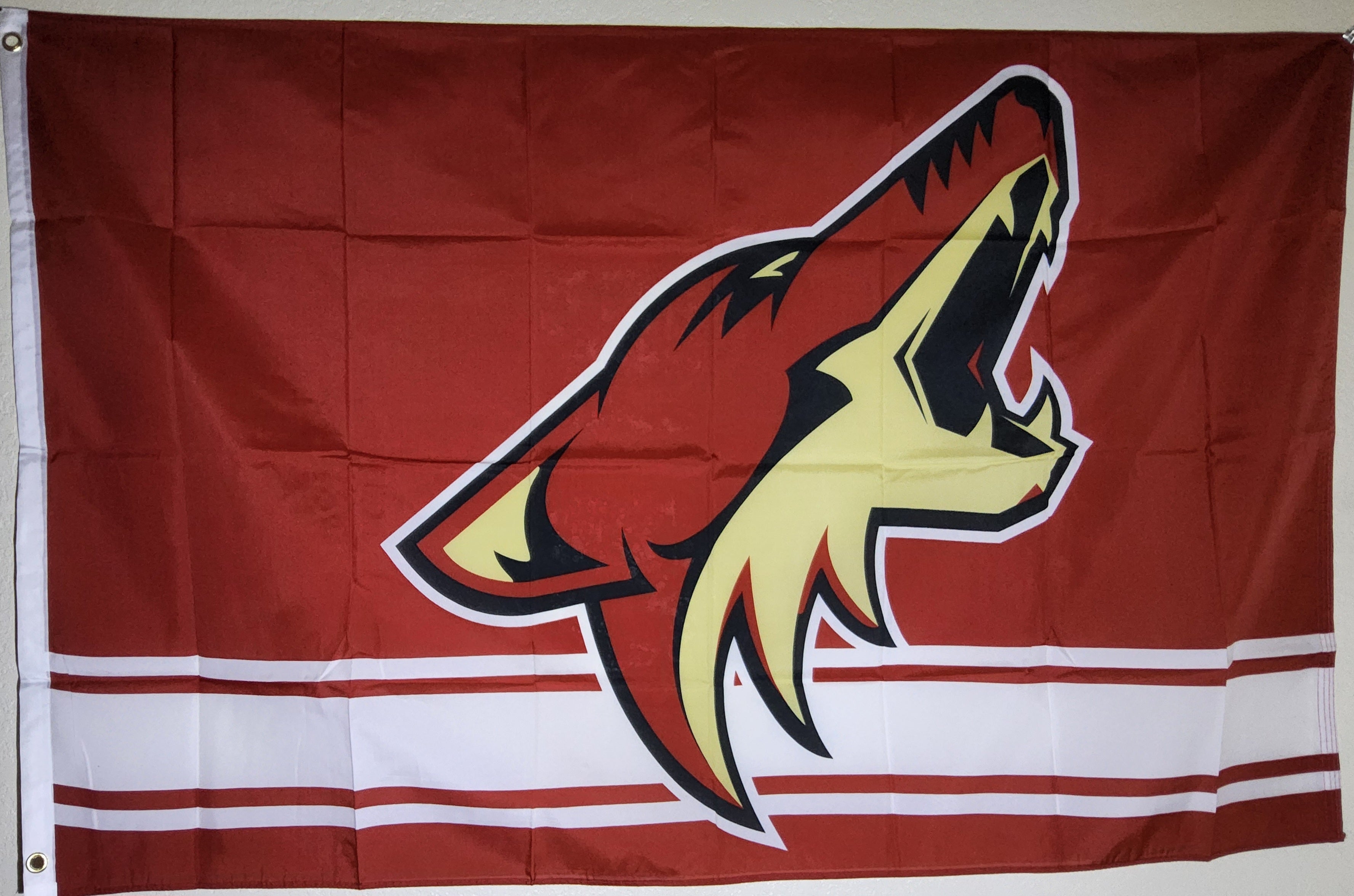 Arizona Coyotes (Classic)