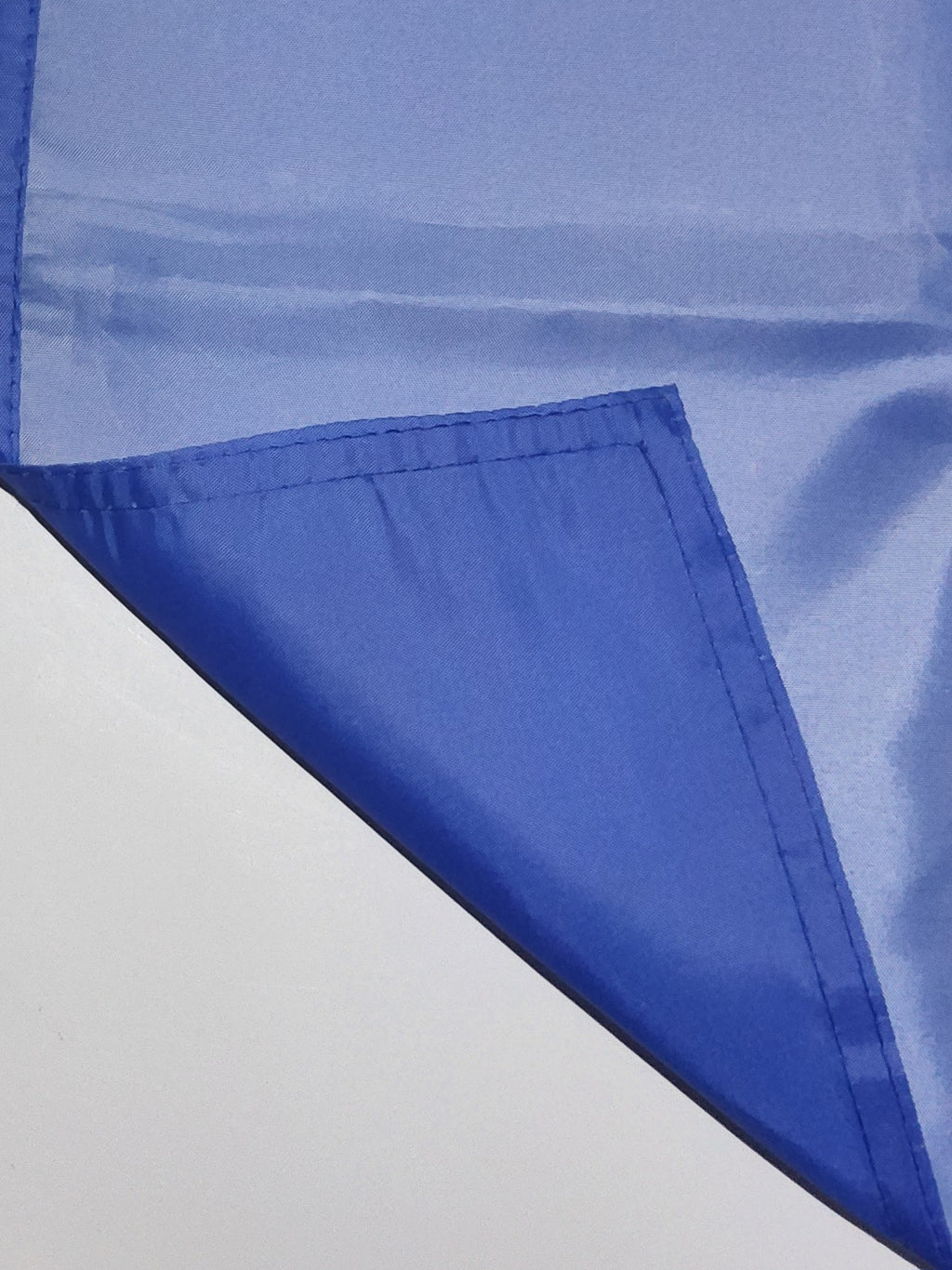 Biden Commander In Thief