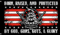 Born Raised & Protected 3x5 Flag – God Guns Guts & Glory Banner