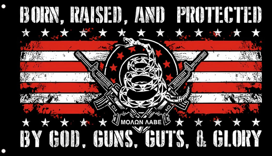 Born Raised & Protected 3x5 Flag – God Guns Guts & Glory Banner