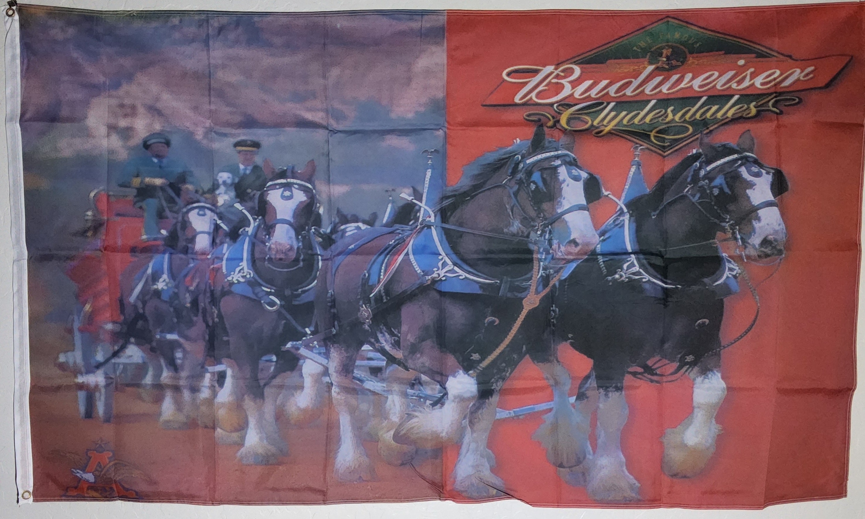 Budweiser Clydesdales