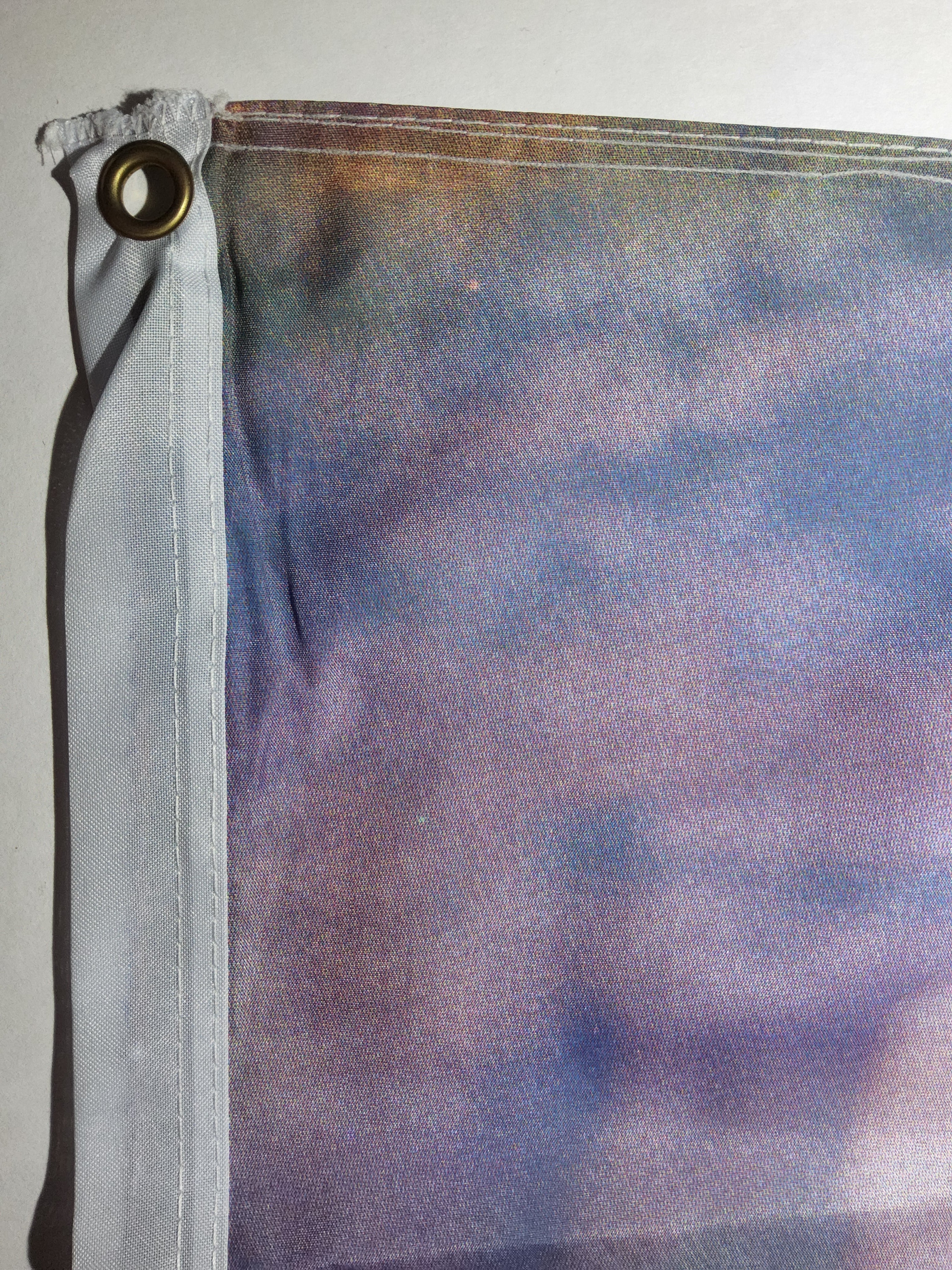 Budweiser Clydesdales