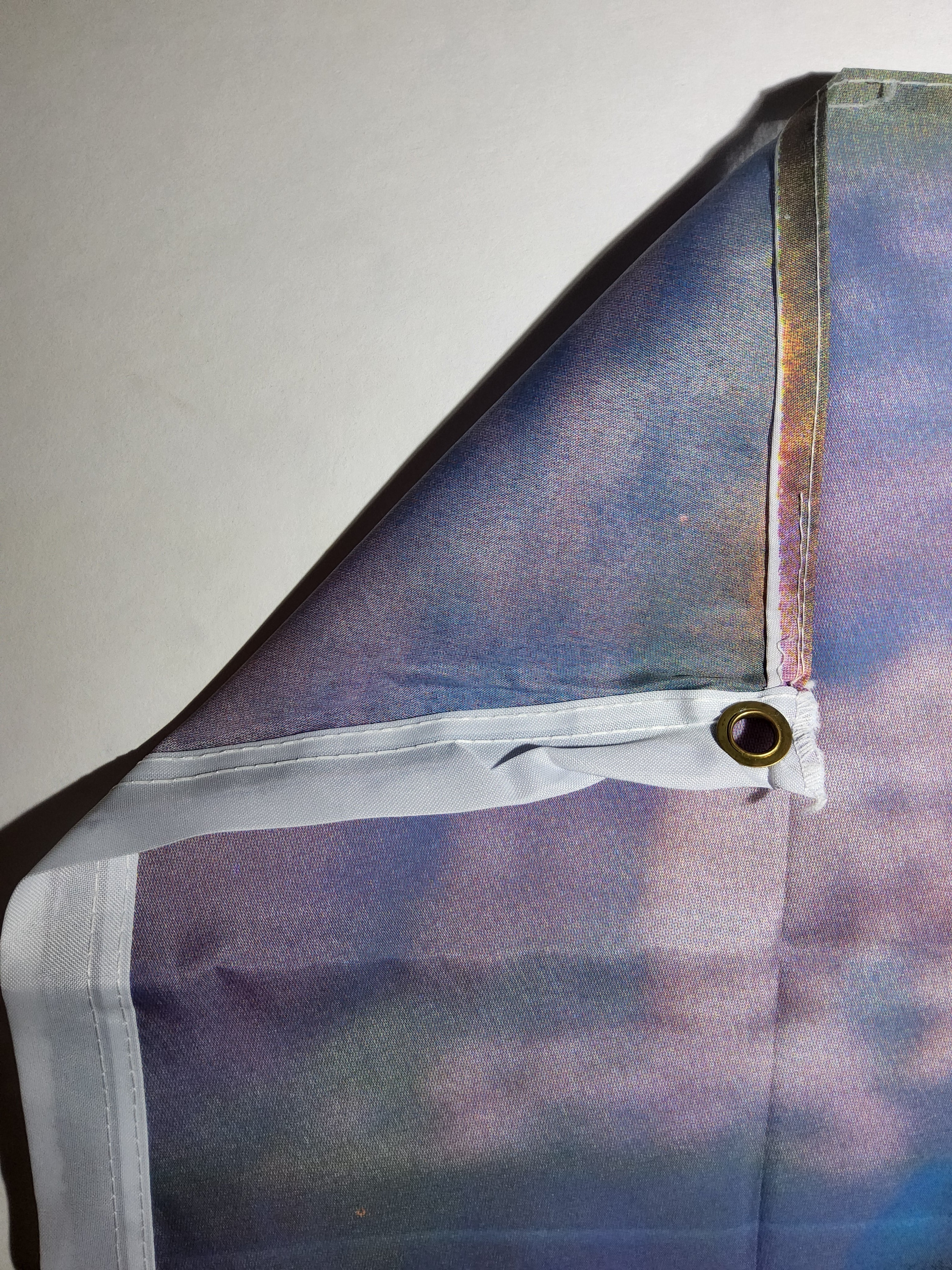 Budweiser Clydesdales