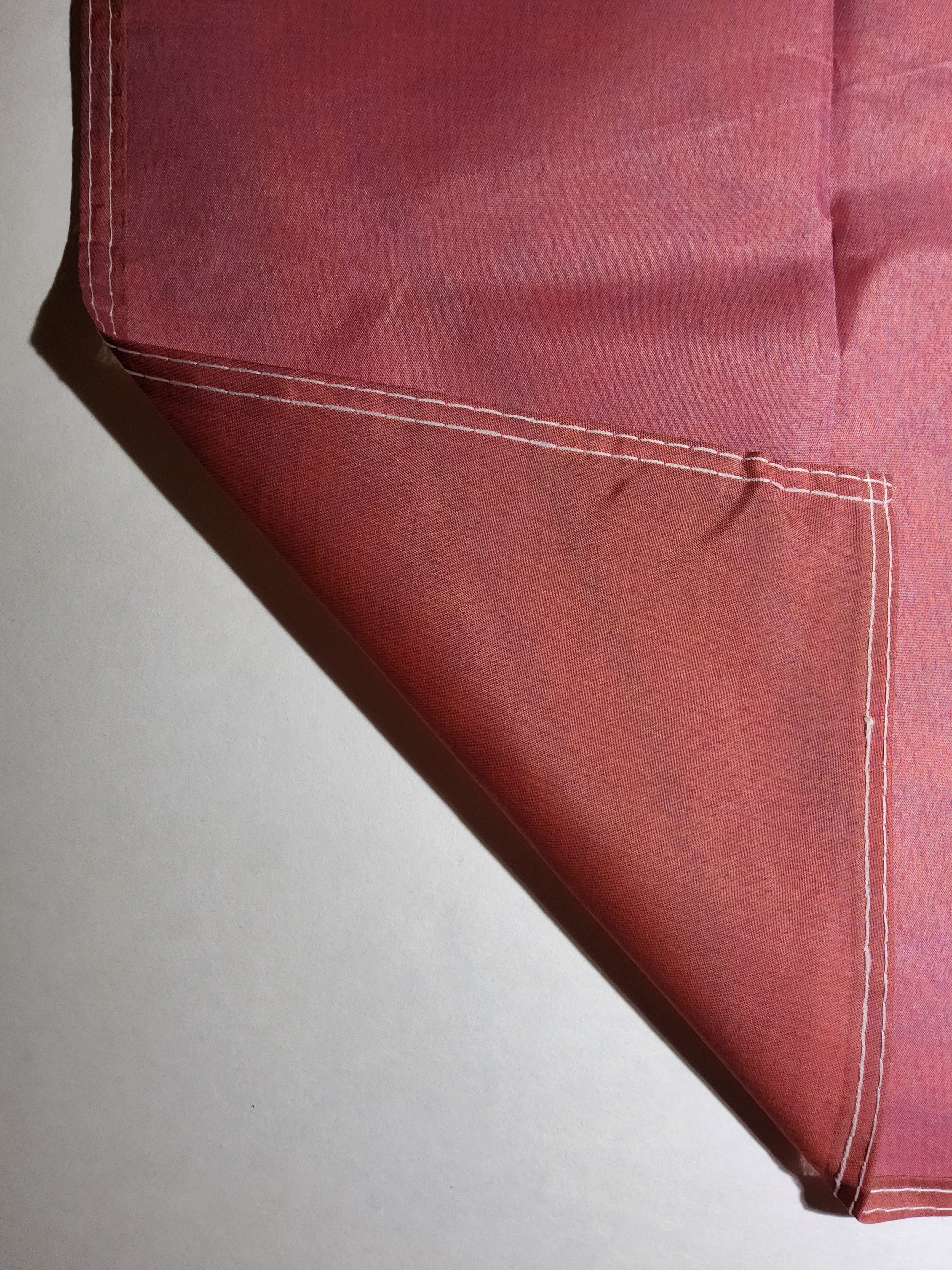 Budweiser Clydesdales