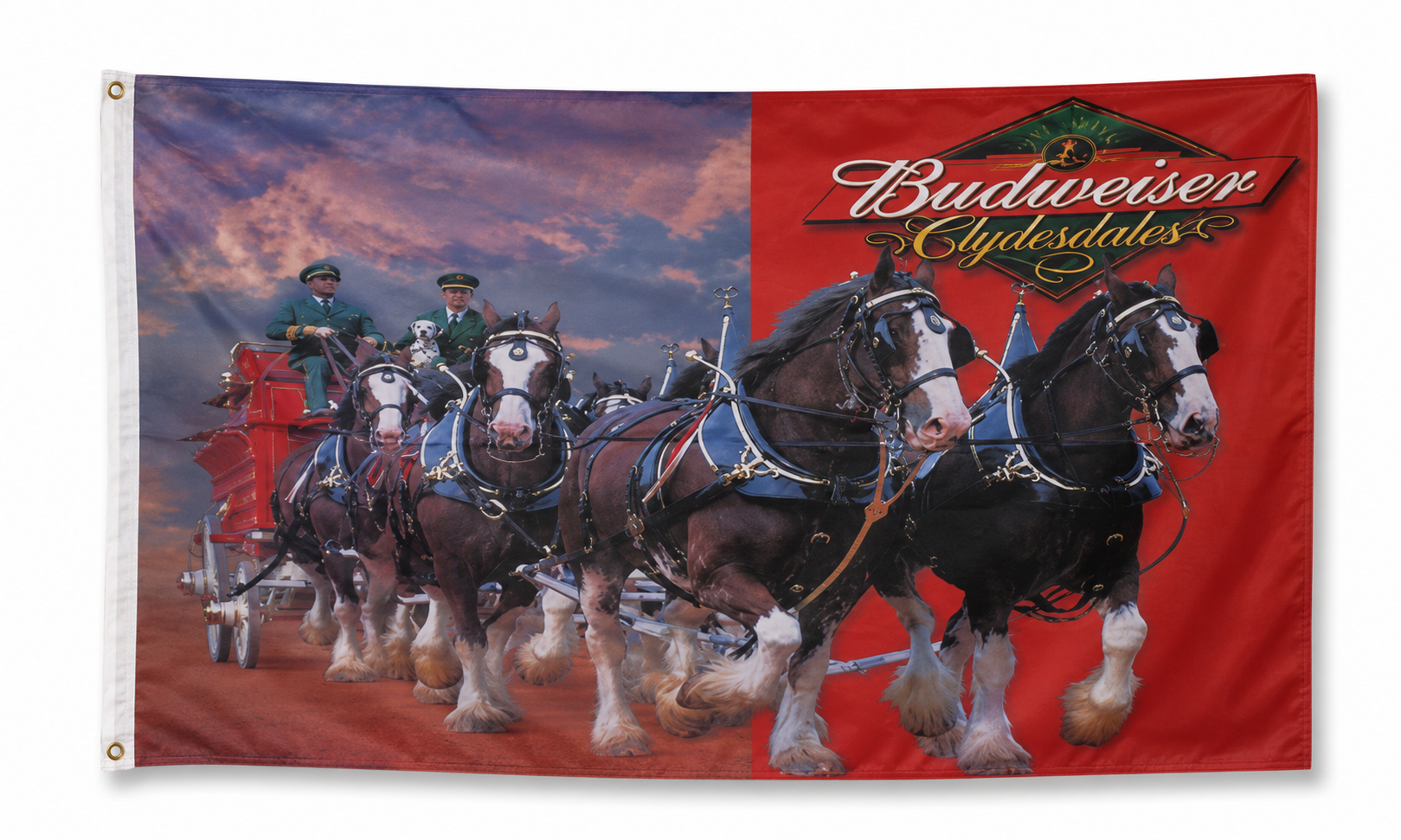 Budweiser Clydesdales