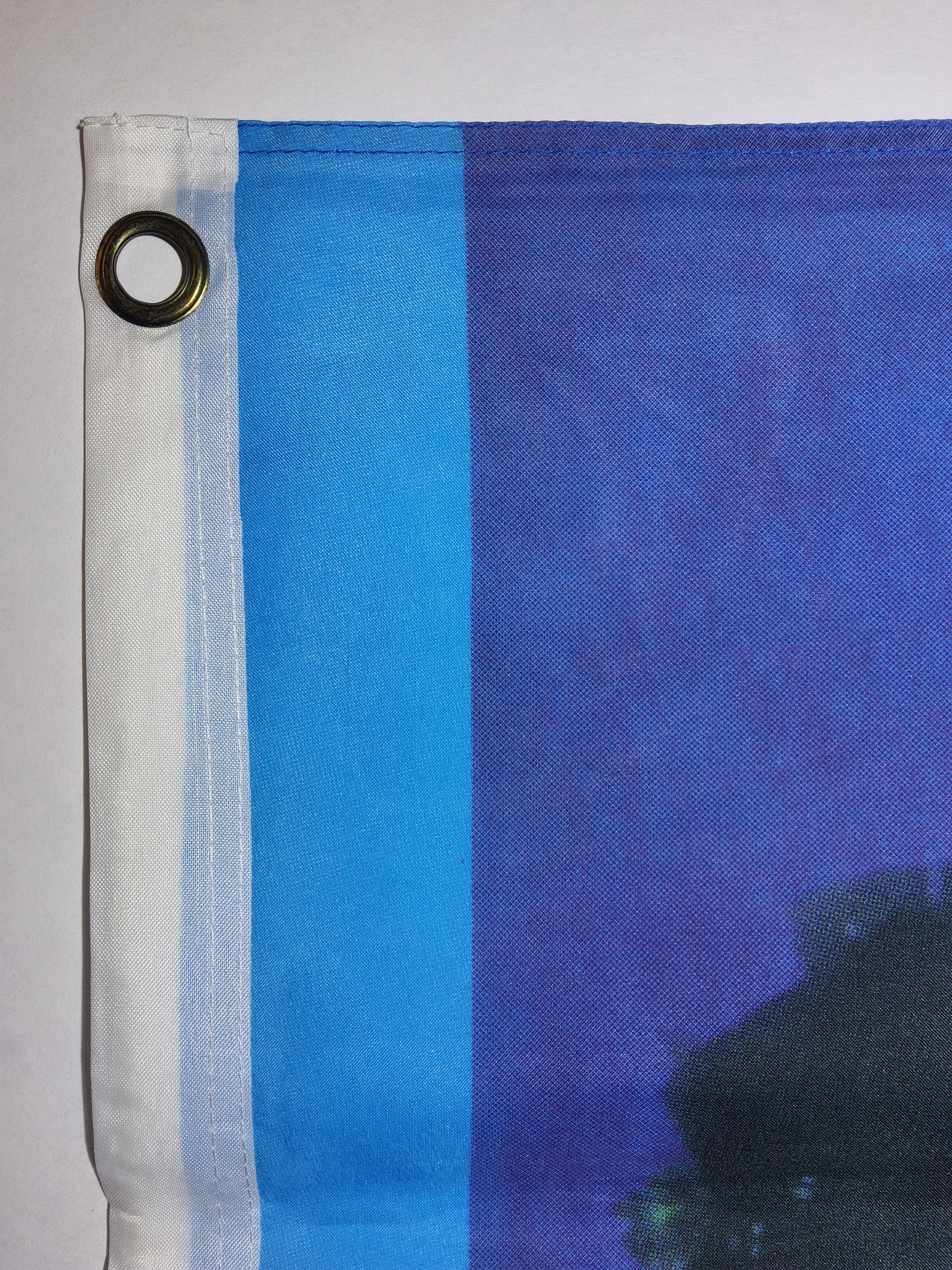 Harley Davidson Choppers