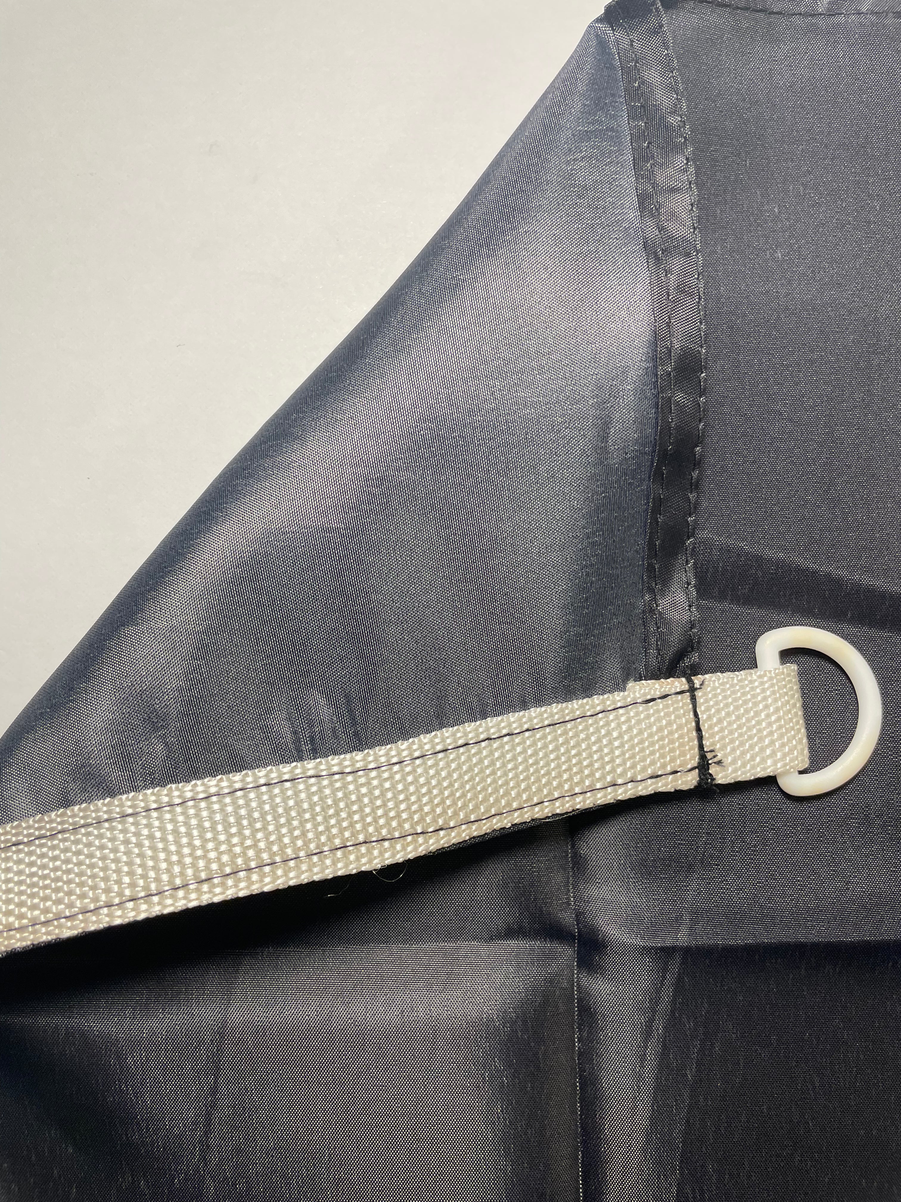 New Mexico Black & White