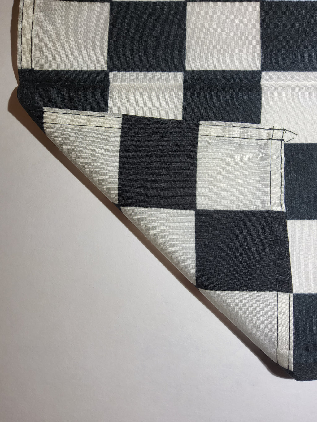 In Memory Of Dale Earnhardt