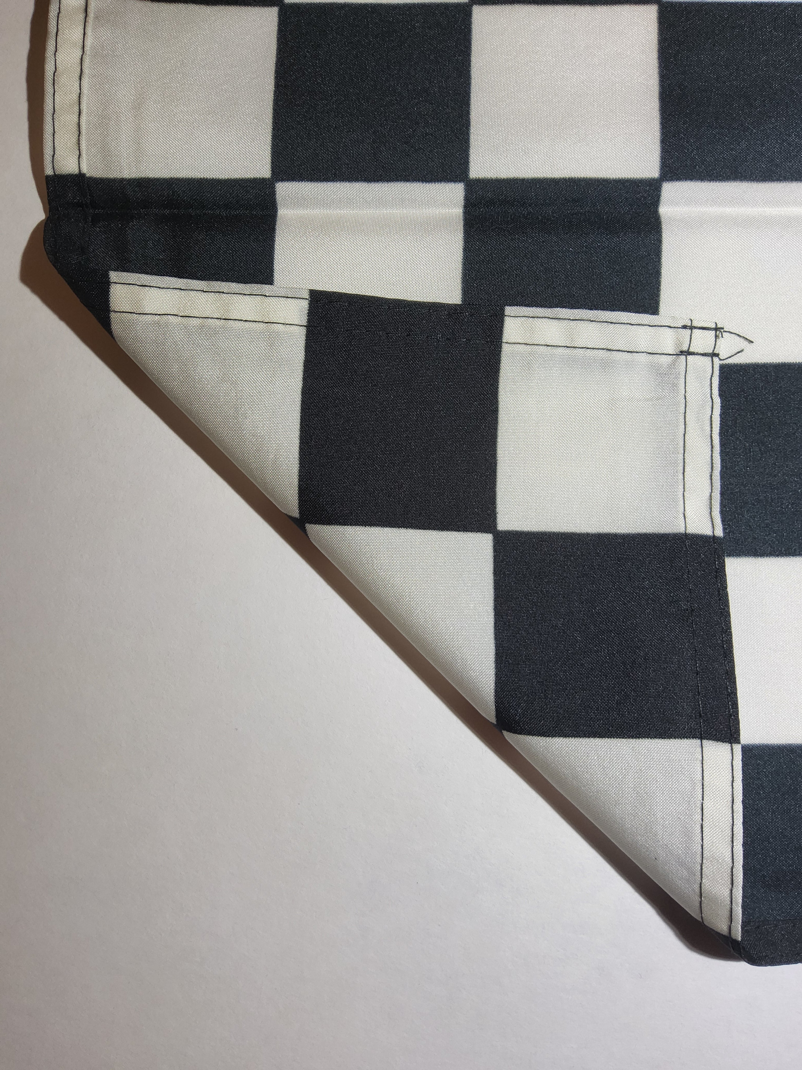 In Memory Of Dale Earnhardt