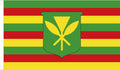Kanaka Maoli Hawaii (Native Hawaiian)