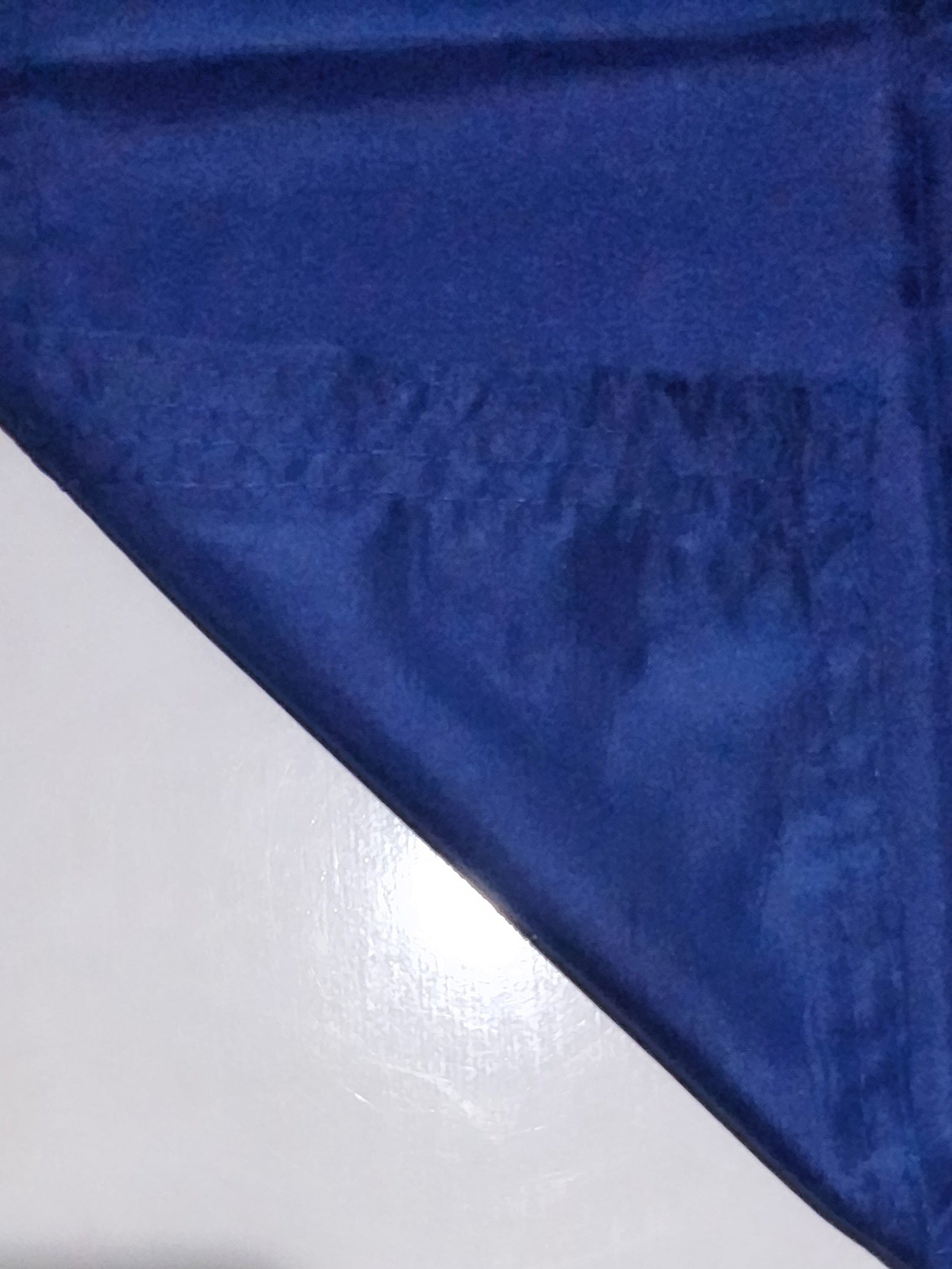 Keep On Trumpin (Blue)