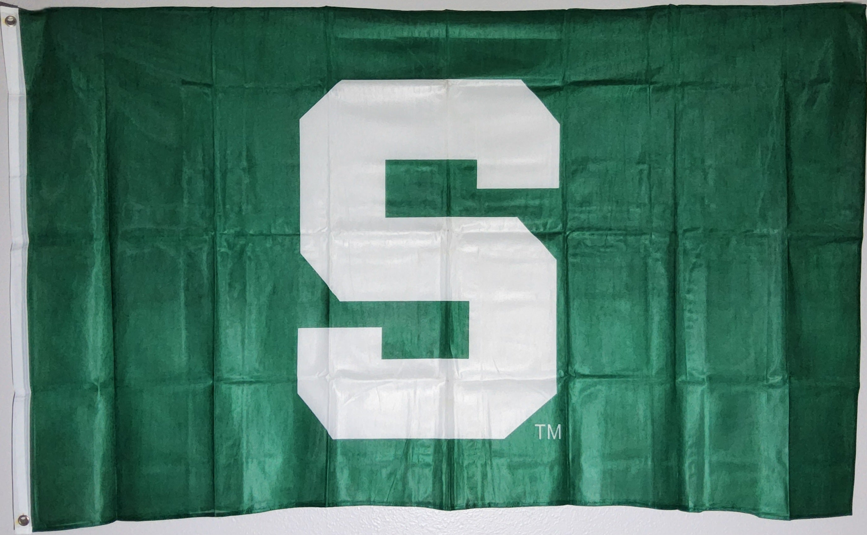 Michigan State University