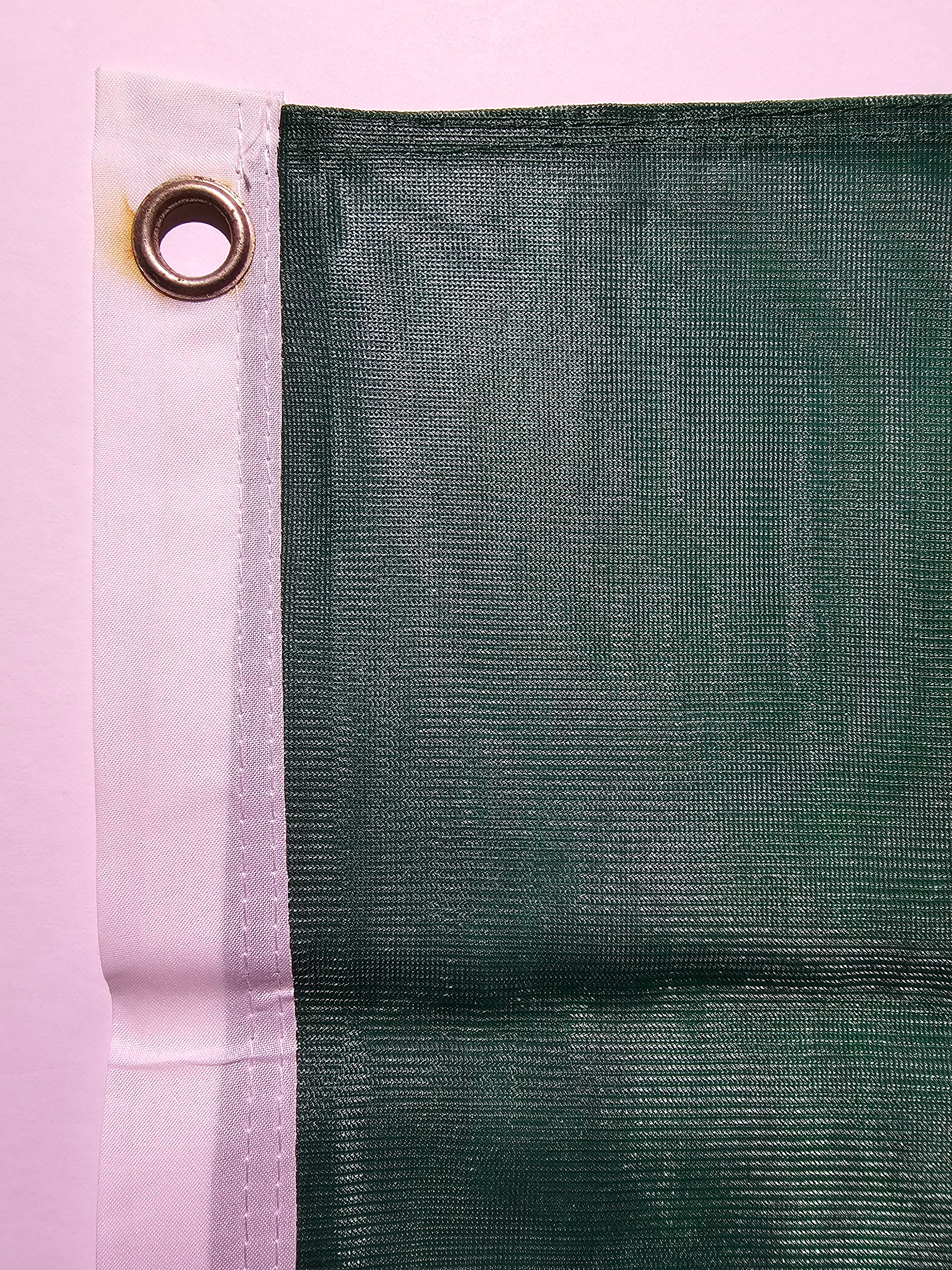 Michigan State University