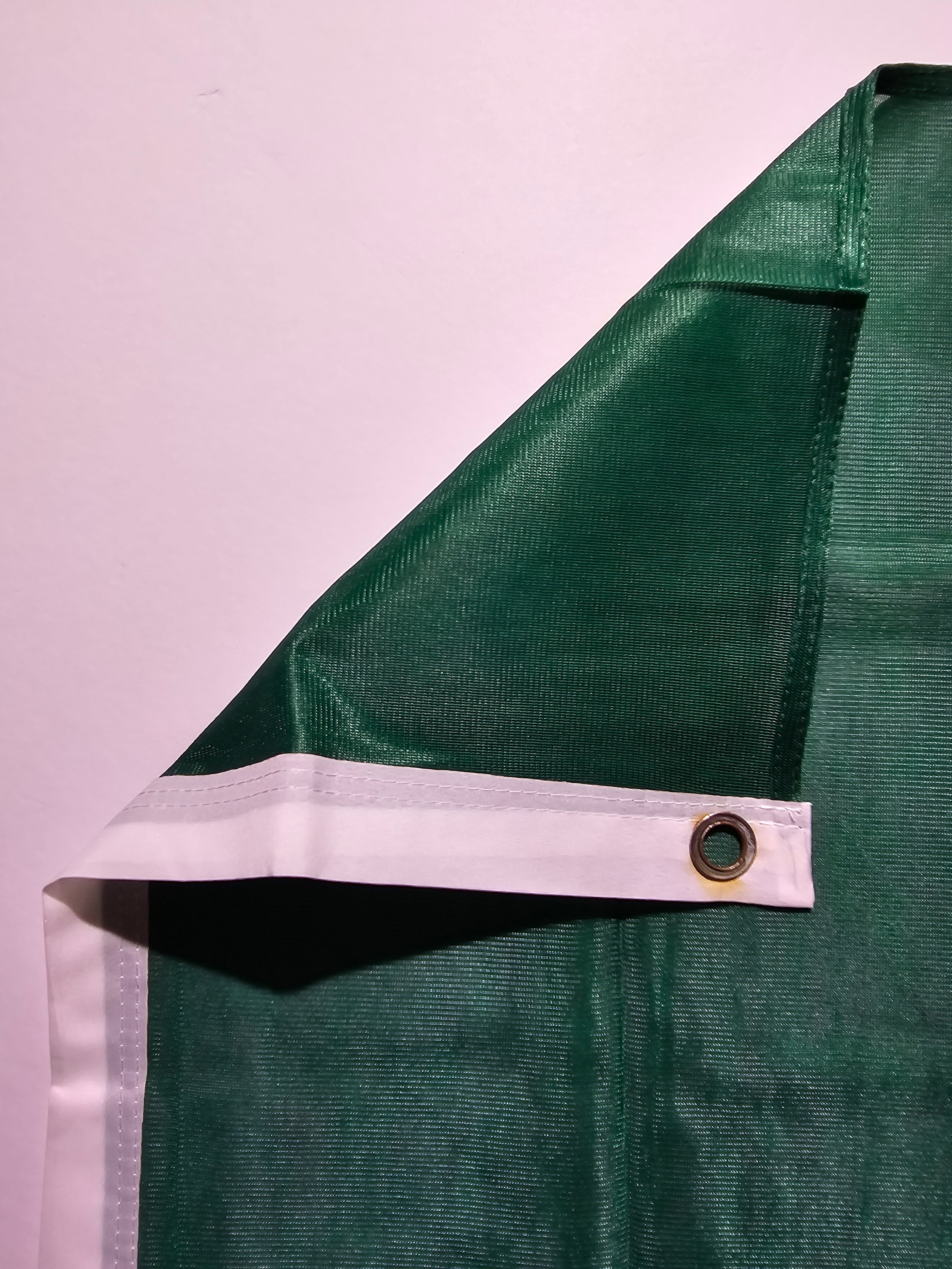 Michigan State University