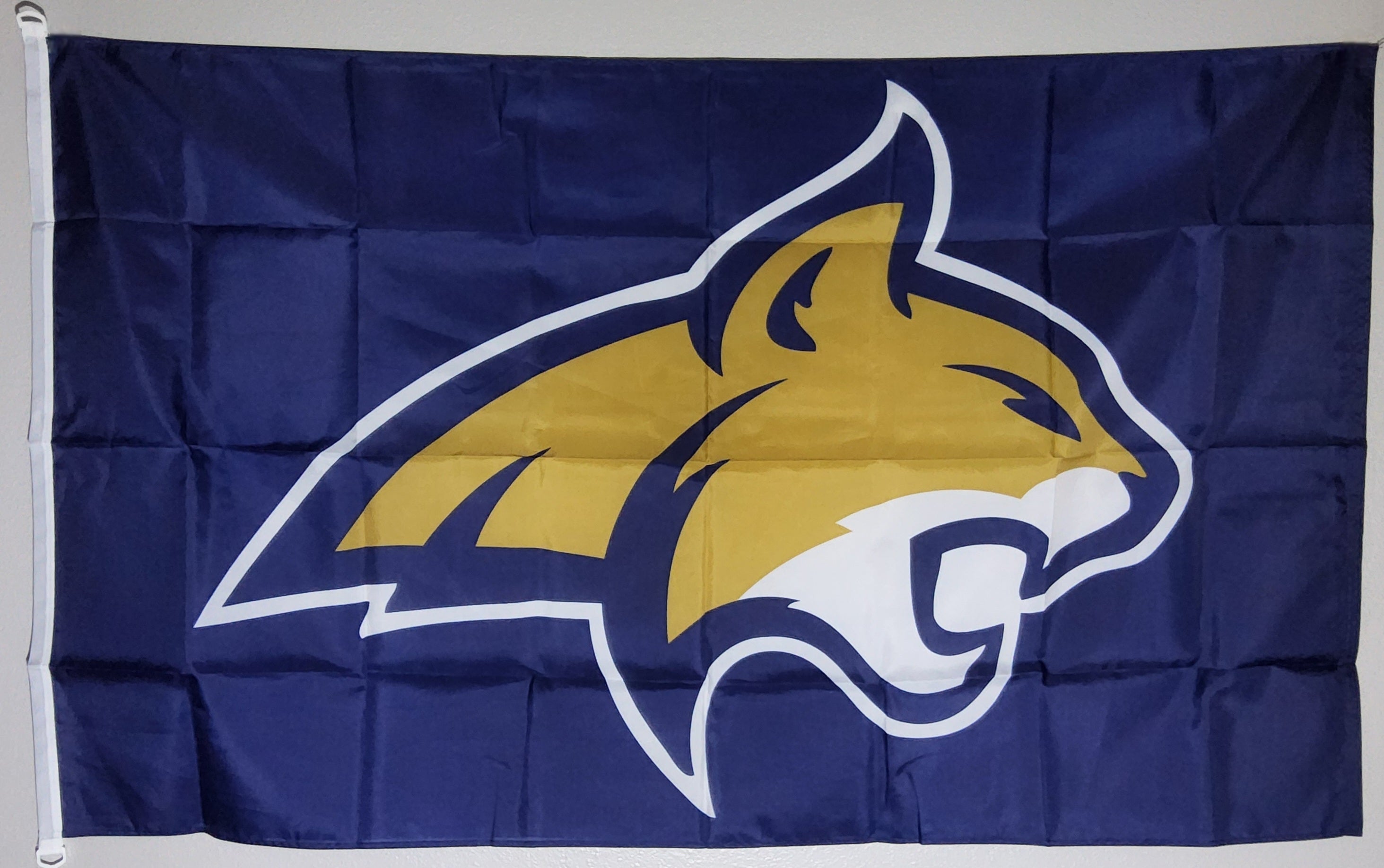 Montana State University