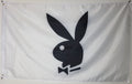 Playboy (White)