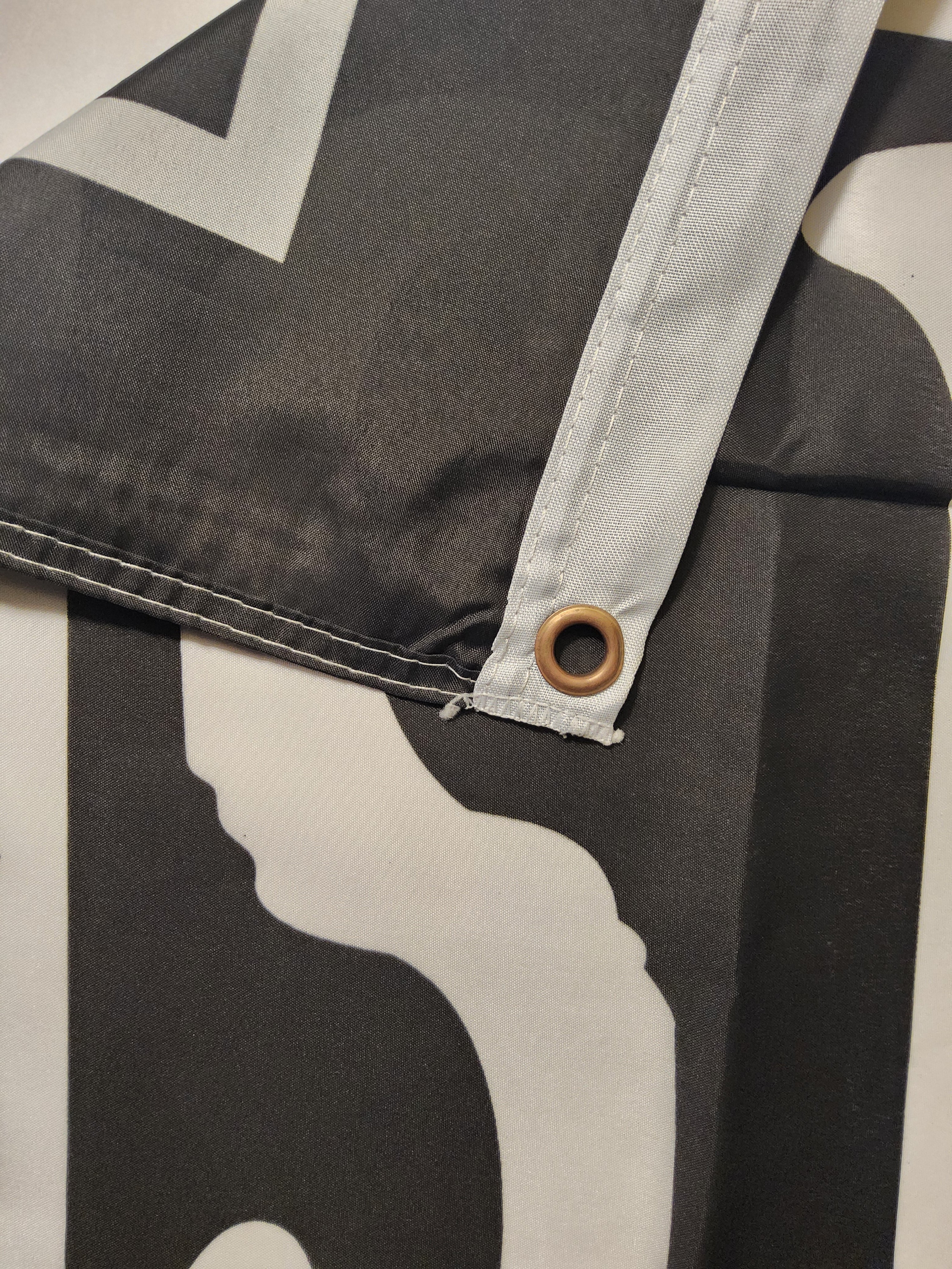 Rolling Stones Profanity