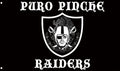 Puro Pinche Raiders 3x5 Flag