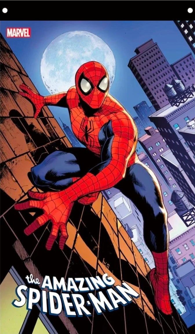 The Amazing Spider-Man