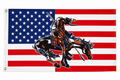 Trail of Tears Native American 3x5 Flag