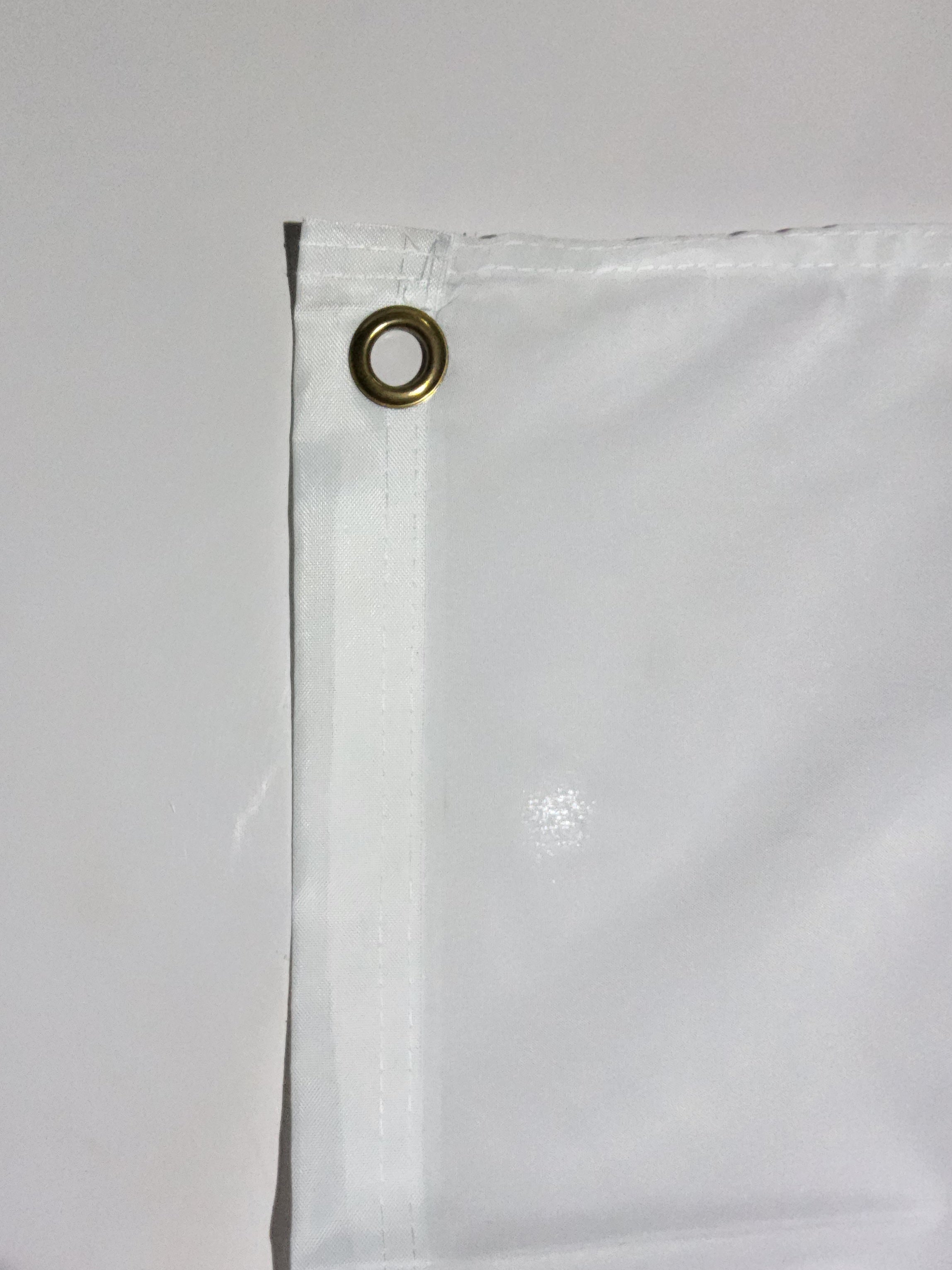 Trump Republican (lion)