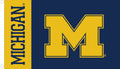 University Of Michigan