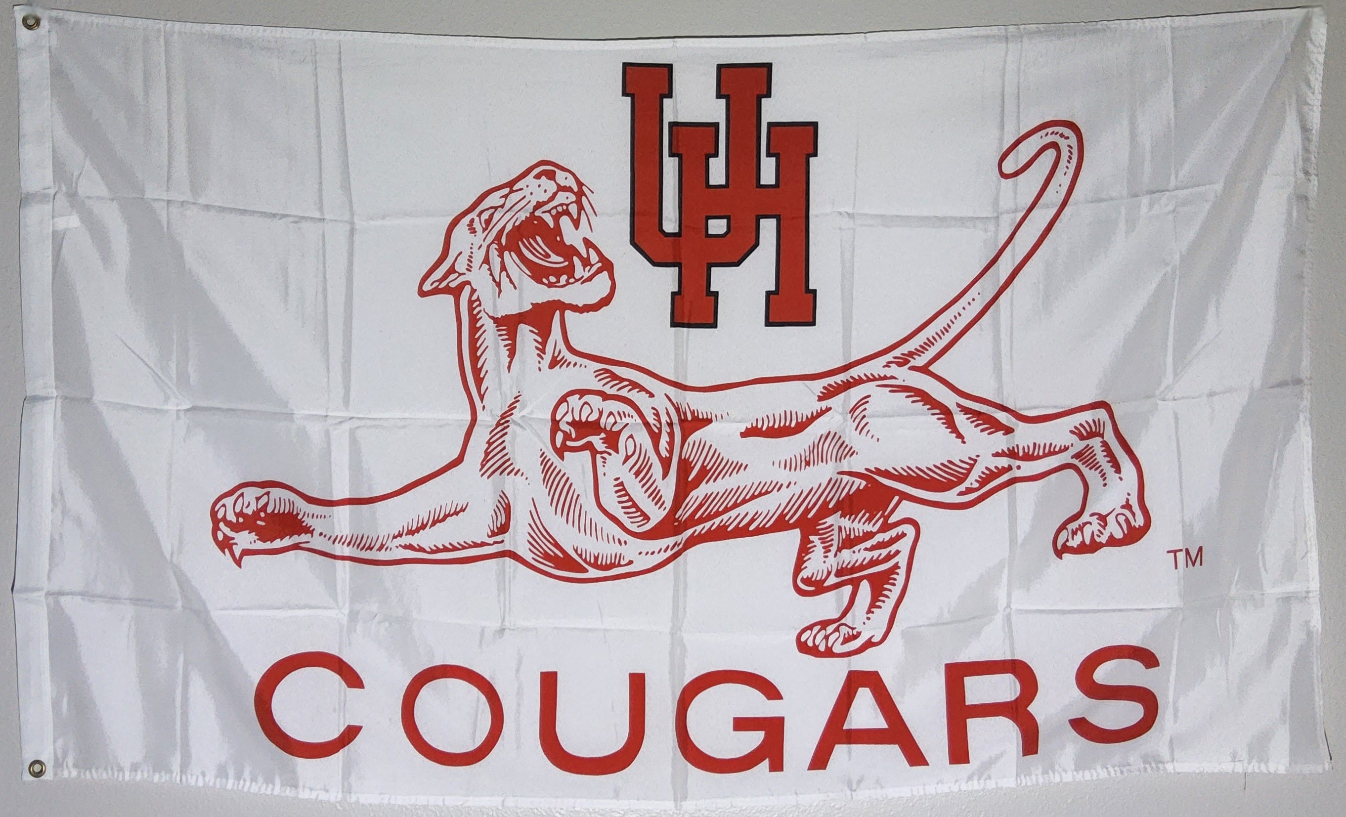 University Of Houston