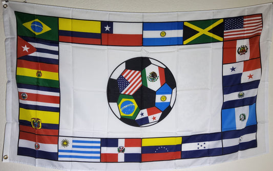 World Cup Football