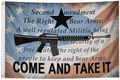 Come & Take It 2nd Amendment USA