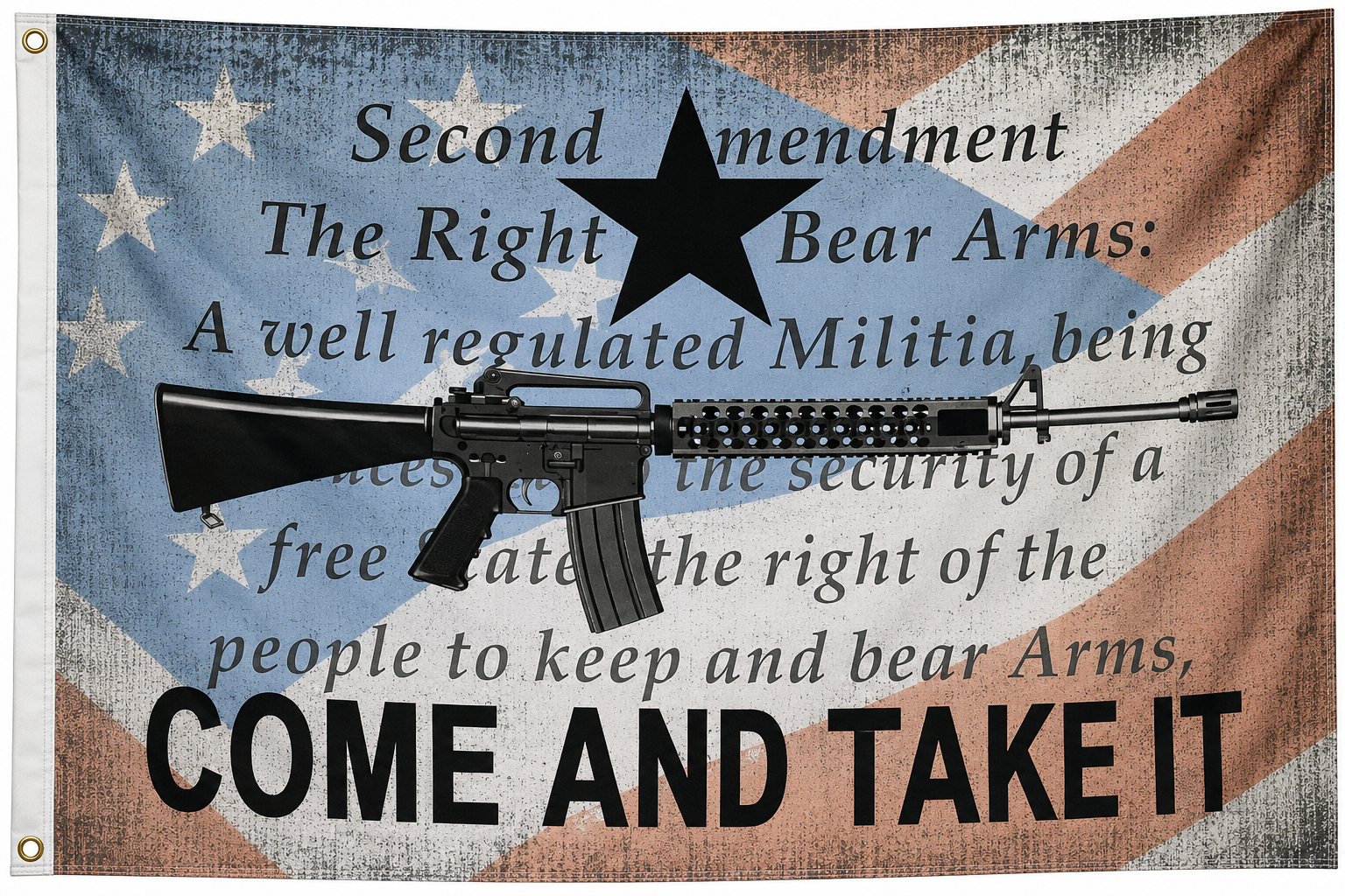 Come & Take It 2nd Amendment USA