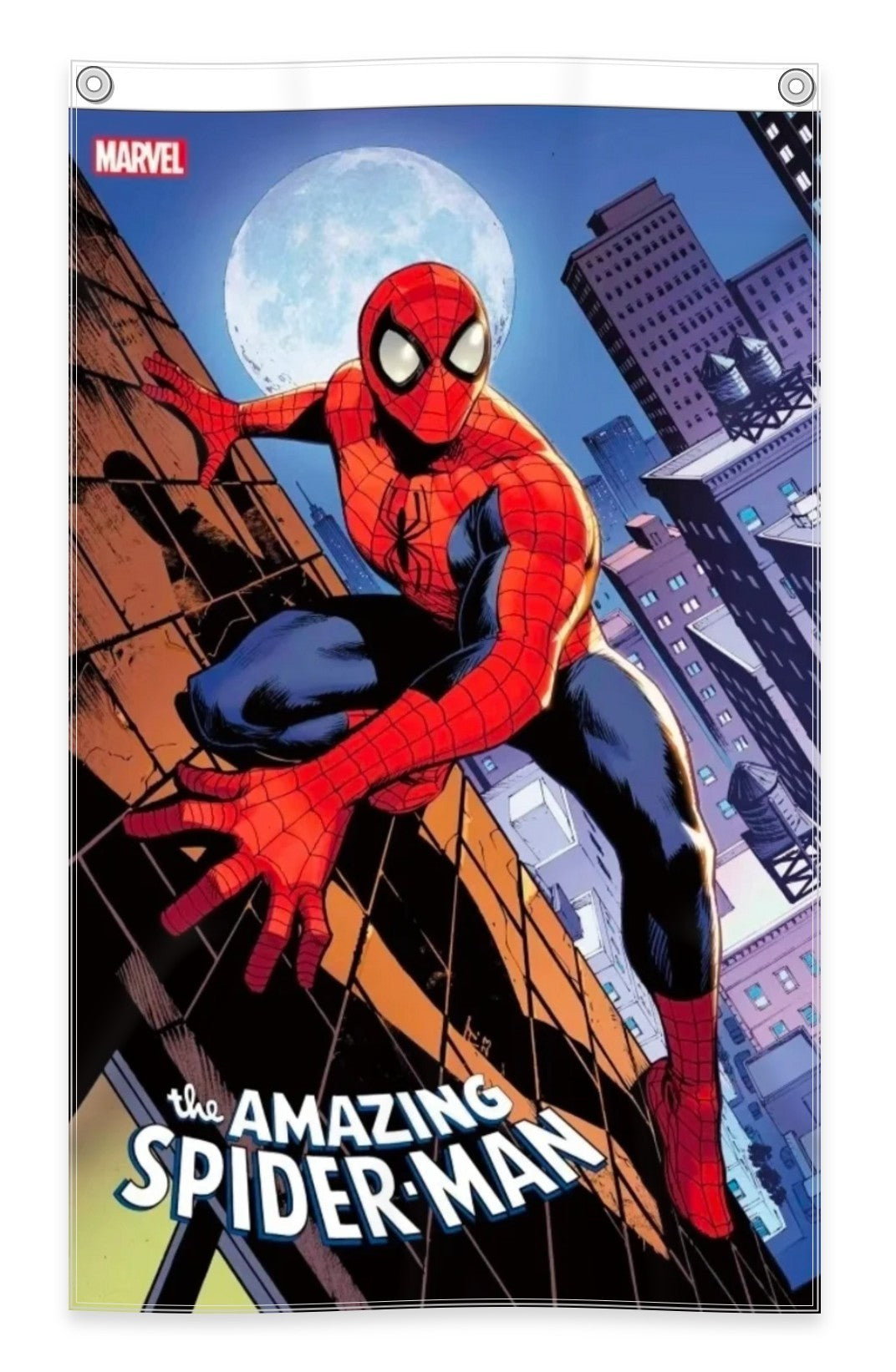 The Amazing Spider-Man